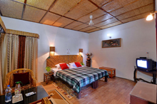 Deluxe AC Room1 GTV Resort Bandhavgarh